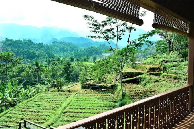Dendon * Purwakarta